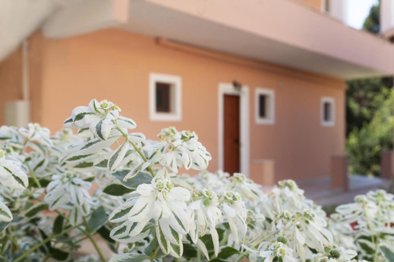 Dora Pagoi 1 Apartment *