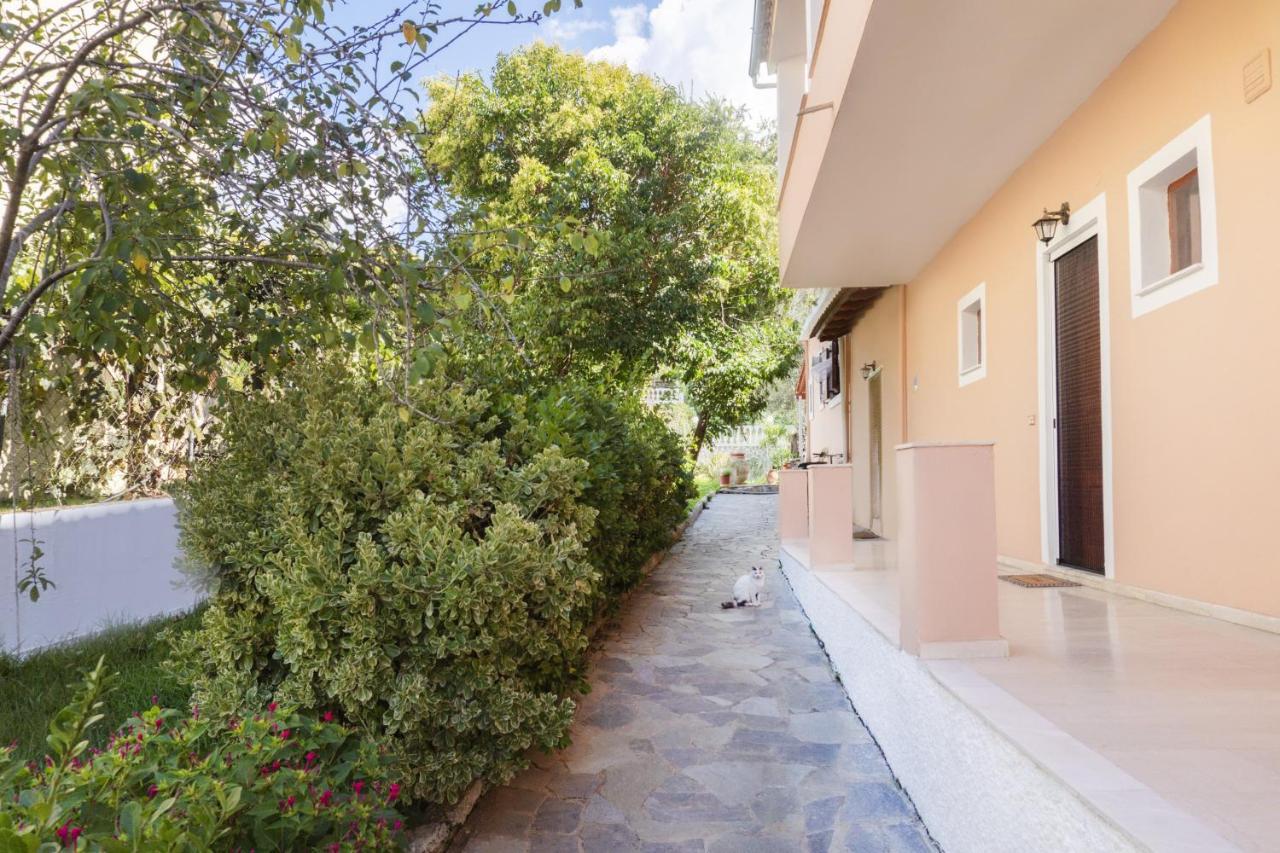 Dora Pagoi 1 Apartment Agios Georgios Pagon